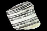 Free-Standing, Banded Zebra Calcite - Mexico #155764-2